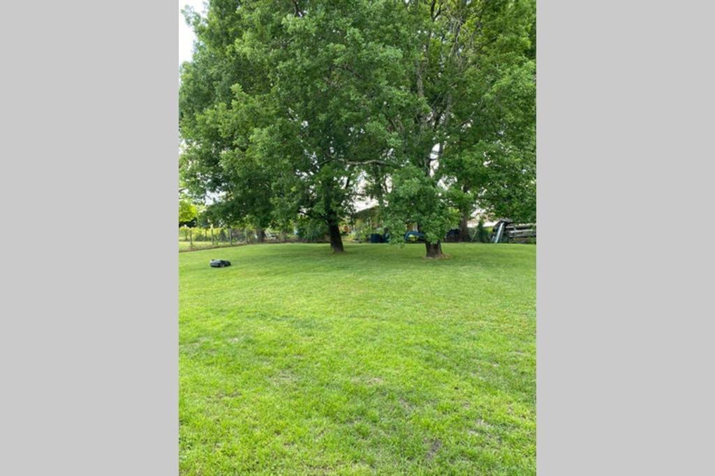 Villa Alba. Piscine Grand Jardin Hauts De Bordeaux Carignan-de-Bordeaux المظهر الخارجي الصورة